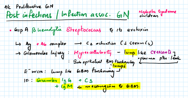 Nephritic Syndrome Acute Proliferative Post Infectious Infection